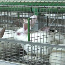 rabbit cage for sale((female and baby rabbits/commercial rabbits)